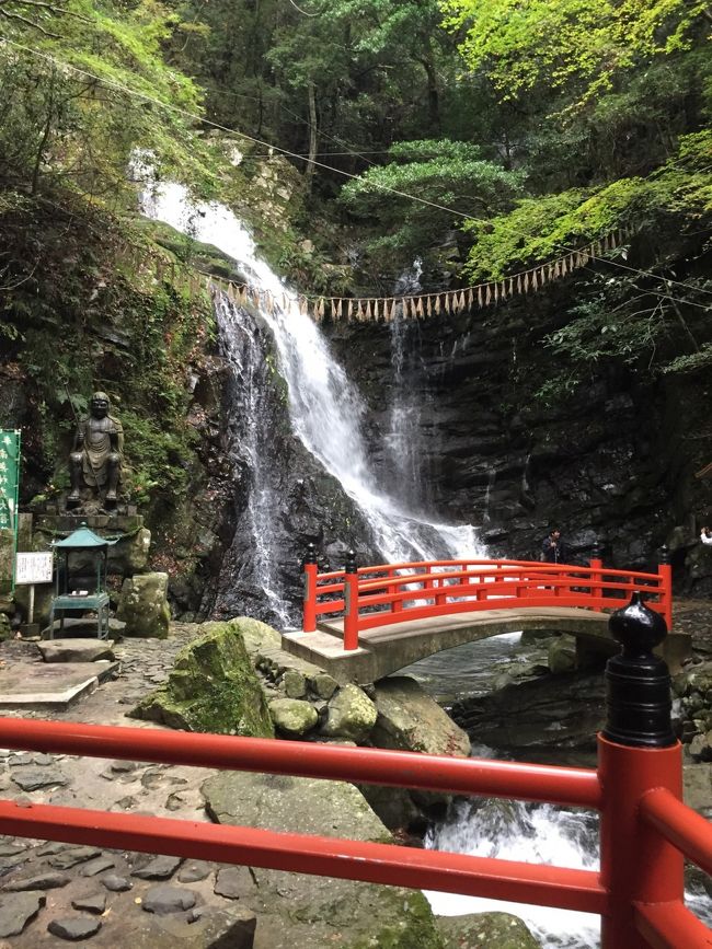 犬鳴山をハイキング 雨に濡れた落ち葉たち 関西空港 泉佐野 大阪 の旅行記 ブログ By ちゃーちゃんさん フォートラベル 犬鳴山をハイキング 雨に濡れた落ち葉たち 関西空港 泉佐野 大阪 の旅行記 ブログ By ちゃーちゃんさん フォートラベル