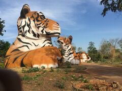 タイガーテンプル入り口の巨大なトラのオブジェ。