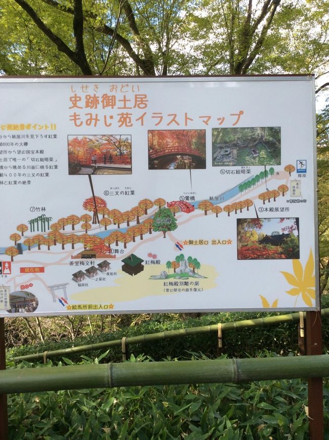 北野天満宮の中にあるもみじ苑。この時期は、特別公開されています。紅葉が美しいと思います。時期がはやくて、残念。