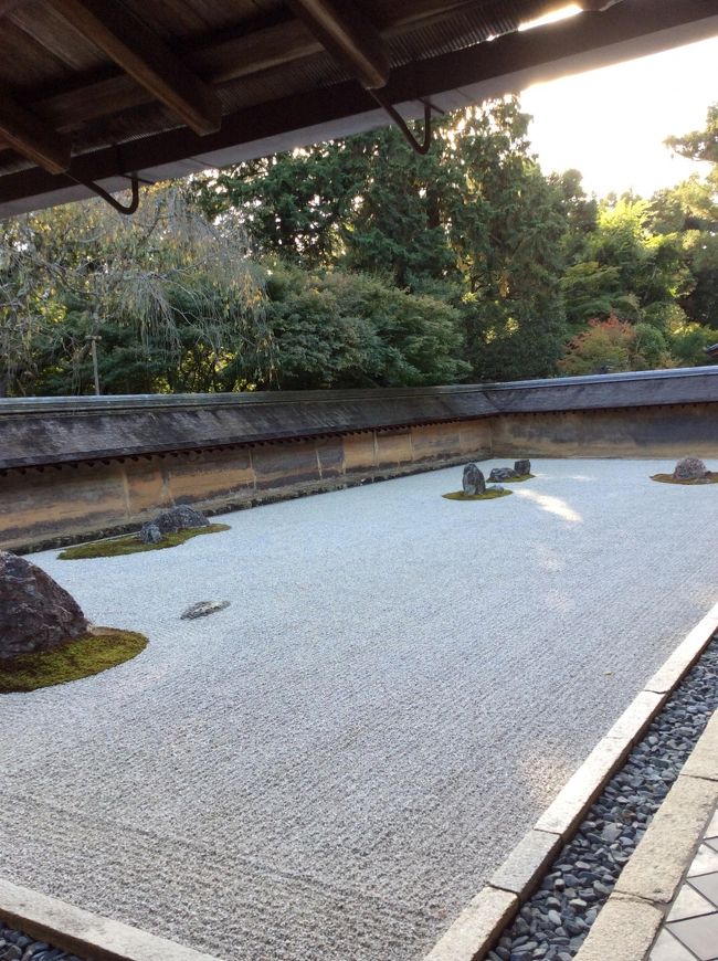 大勢の観光客がいました。撮る角度が悪いですが、縁側にずらーと並んでるんですよ。でも、皆さん、静かに眺めてました。<br /><br />この日は、茶室「蔵六庵」と襖絵「群仙図」の特別公開がありました。<br />風情のある茶室は、静かにそこにありました。リチャードギアさんがとても好きだとか。素晴らしい文化です。