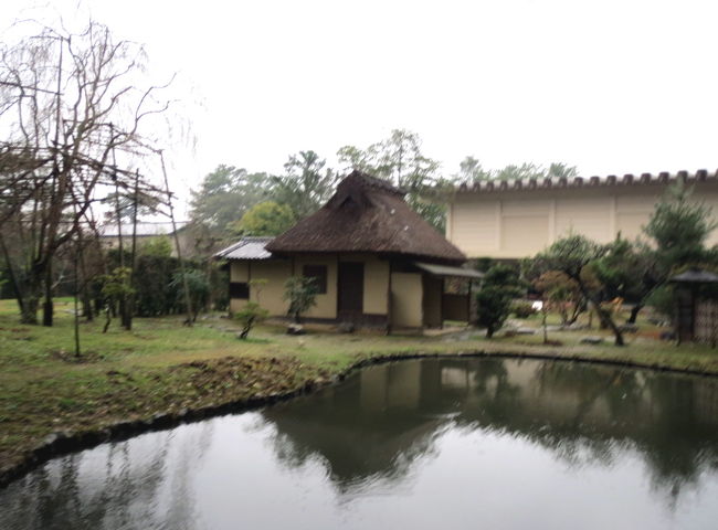 池の向こうに憧れの茶室が