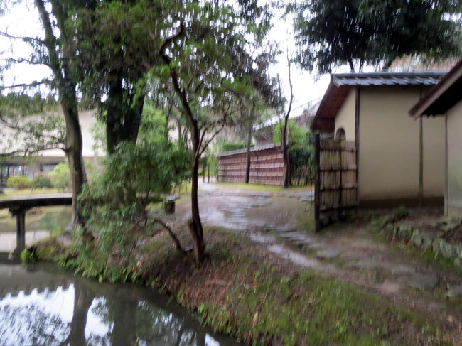 しかし通り越して　寄り付き待合棟へ進みます