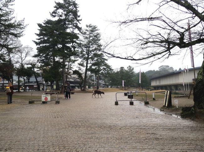 国立博物館建物を通り過ぎ園地入り口まで進みます<br />写真は帰りの景色　行く時は左右逆ですご注意