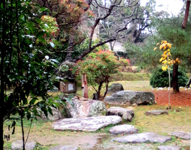 蹲の拡大　かなり濡らさないと良い色出ない！