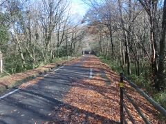 備前片上から和気、柵原までの35kmの自転車道。
片鉄ロマン街道をサイクリングします。