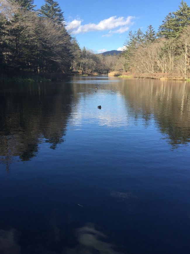 雲場池に到着♪<br /><br />今回も大好きな柴犬 ぱん子ちゃんとは予定が合わず…。ブログによると、ぱん子ちゃんは家族でお江戸に行かれてました。ガックシ。