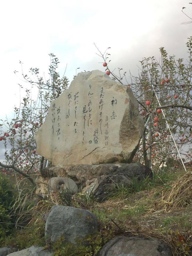 気合い入れてりんご狩りだー