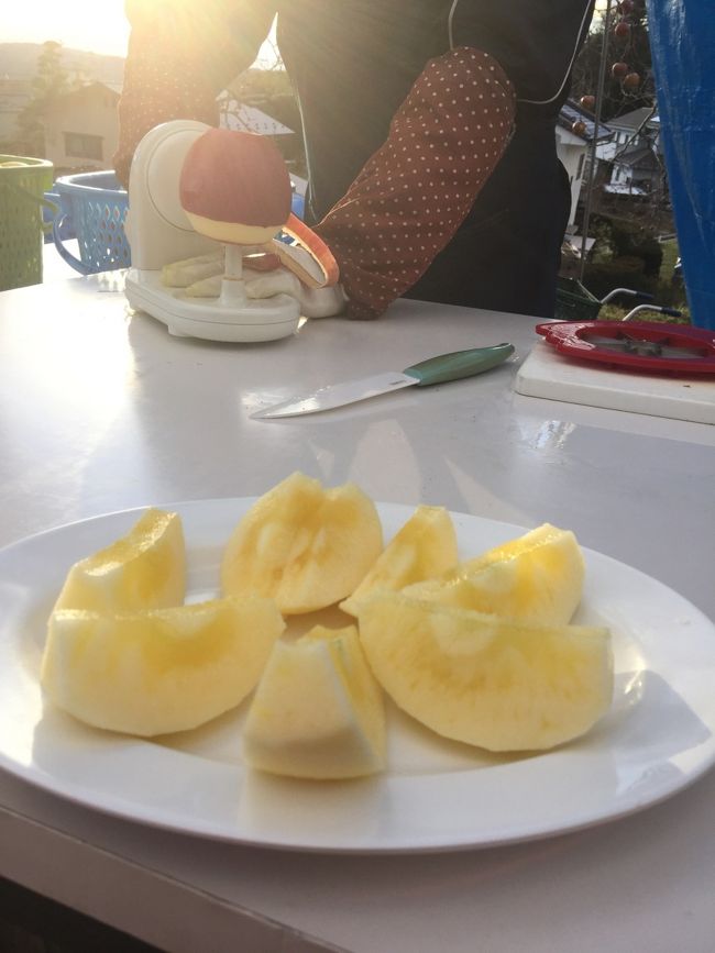 自分でもぎとったりんごがこんなに蜜が♪