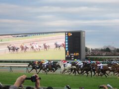 15:25 中山競馬場で行われた有馬記念を観戦して､