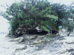 津波大石（つなみうふいし）国指定 天然記念物

石垣島東海岸の津波石群、約２０００年前に発生した津波によって打ち上げられもの。

