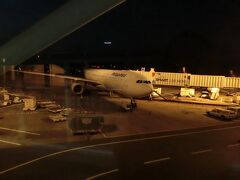 深夜 バリのテンパサール ングラライ国際空港 に到着