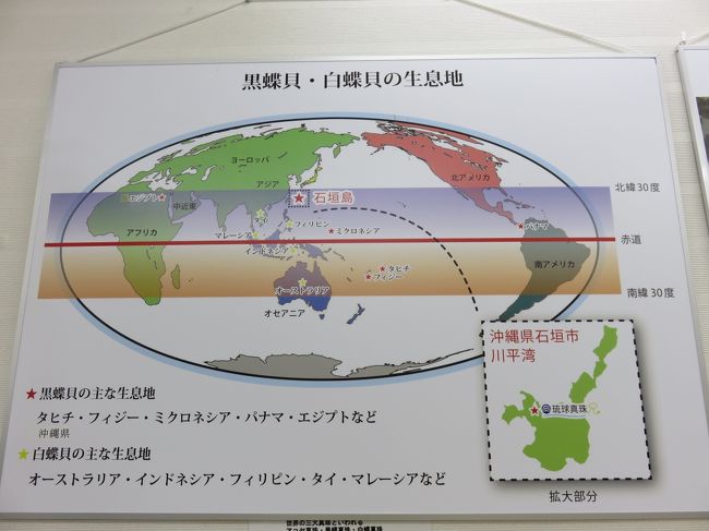 黒真珠の主な生息地はタヒチやフィジー、ミクロネシア、パナマ、エジプトなど<br />南方で捕れるんですね