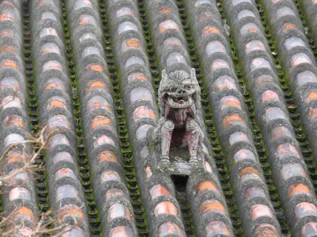 ここにもシーサー