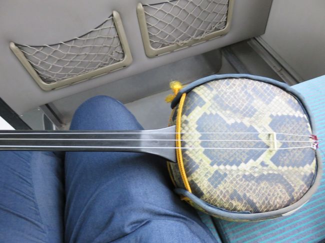 ガイドさんの三線　本物は蛇皮　これは合皮<br />びっくりー　今は合皮なんだ〜