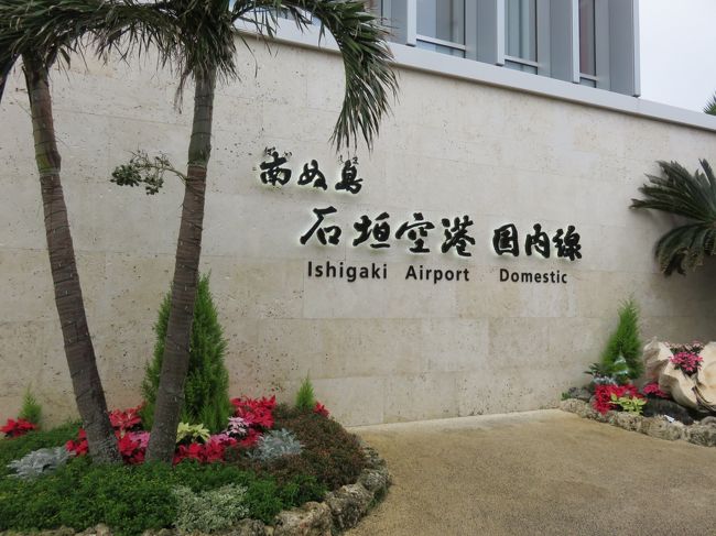 今年オープンした新空港だそうです