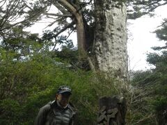 車で行ける紀元杉
推定３０００年。