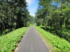 上田からは千曲川自転車道。ちょっと路面が悪いのがタマにキズ。でも晴れてきたのでとても気持ちがよいです。

(写真はS藤さんのページより拝借）