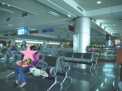 ノイバイ空港、国内線ロビーです。
カウンターまでガイドさんがついてきてくれるので、安心です。

16:10ハノイ発、ベトナム航空VN257便でホーチミンへ出発です。

さよなら、ハノイ！！
また来ますーーーー(*´▽｀*)