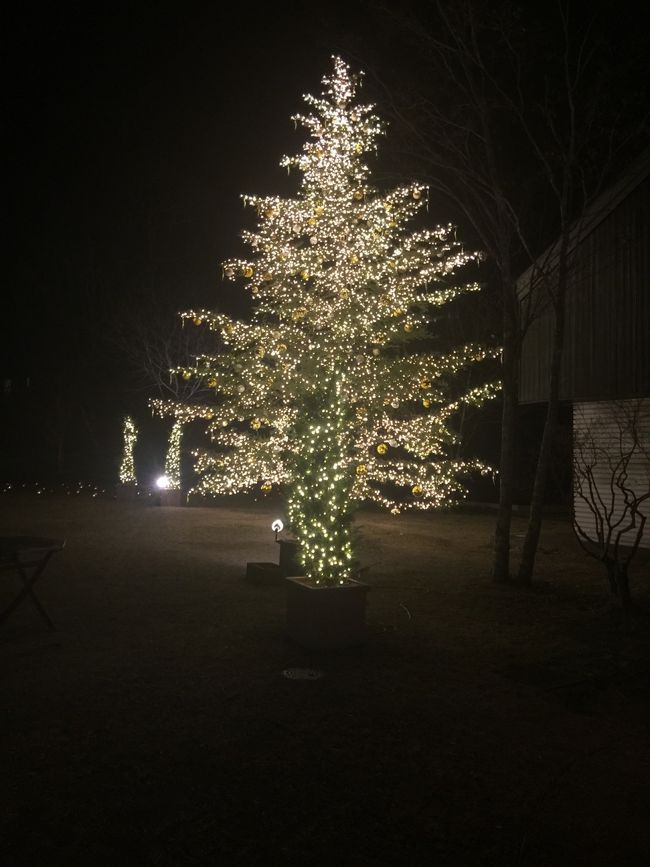 トンボの湯前イルミネーション