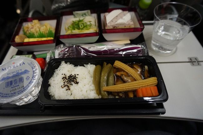 カタール航空。KIX22:40→DOH04:55（12:05）夫のチョイスの和食。私は･･･寝ていたような気がする･･･