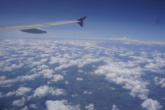 緑色の地表の場所もある･･･