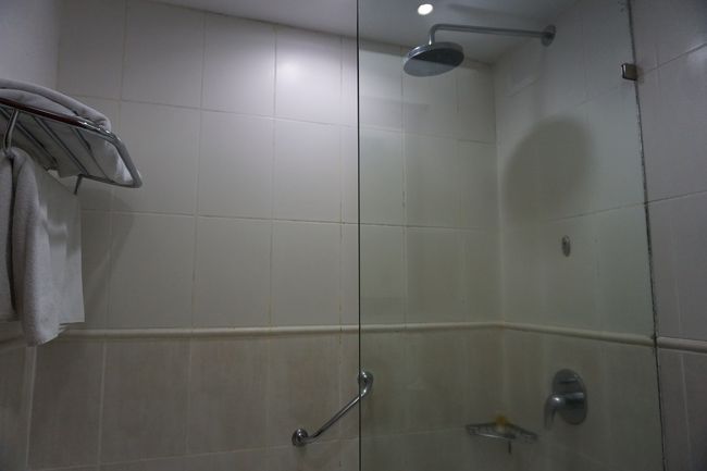 「アルーシャホテル」<br />EXPEDIAを通して予約。送迎の依頼はメールで。<br />キリマンジャロ空港→ホテルは、70ドル。<br />翌日の、ホテル→アルーシャ空港は、30ドル。<br /><br />このホテルに決めたのは、ズバリ空港送迎があったから。<br />他のホテルでも可能かもしれませんが、公式ホテルサイトに空港送迎についての記載があったのが決め手でした。