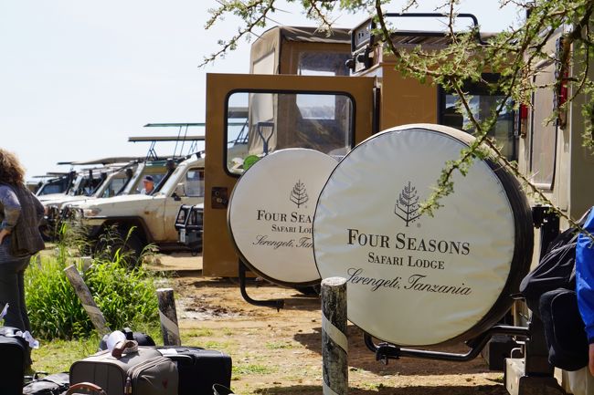 セロネラに到着！私たちの申し込んだ宿泊プランにはホテルの送迎もついていたので、事前にメールでやりとりをして、迎えに来てもらった。ここは、サファリの人気エリアでもあるので、ずらーっと並んだたくさんのサファリカーがゲストの送迎に駆けつけていた。