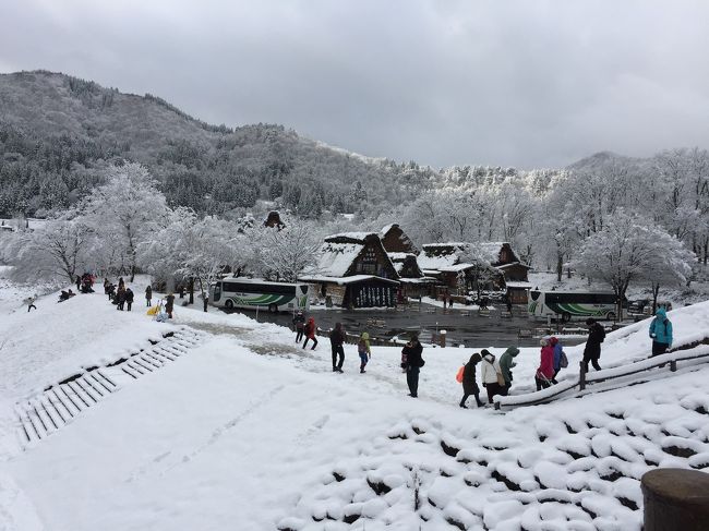 この雪景色に感動！<br />幻想的な白川郷にうっとり。