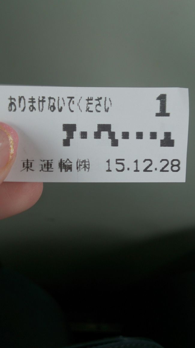 はい、到着〜<br />曇天、曇天。<br />バスで街中へ。年末だから臨時便出てたー<br />ラッキー