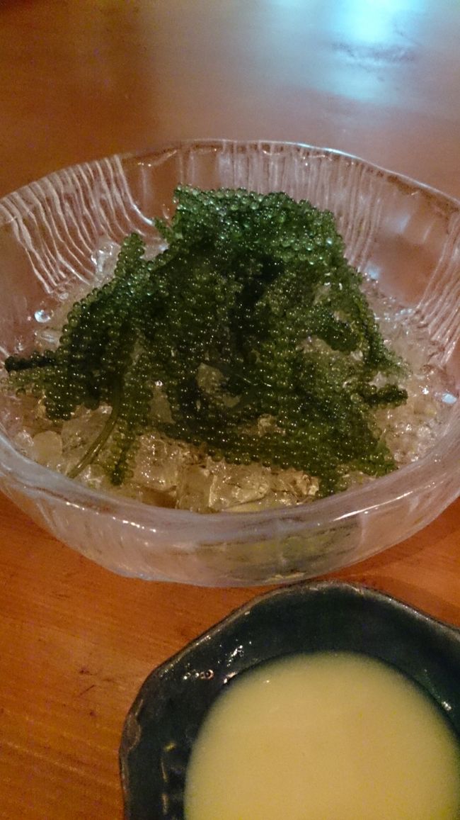 念願の海ぶどう。