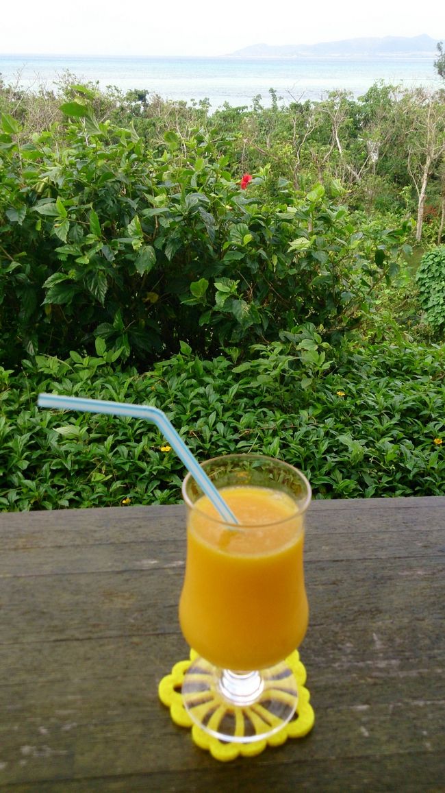 ランチのあとは、<br />★宮良農園へー<br />マンゴージュースで一服。<br />美味しいなぁ。<br />でもちょっと高いなぁ。700円。