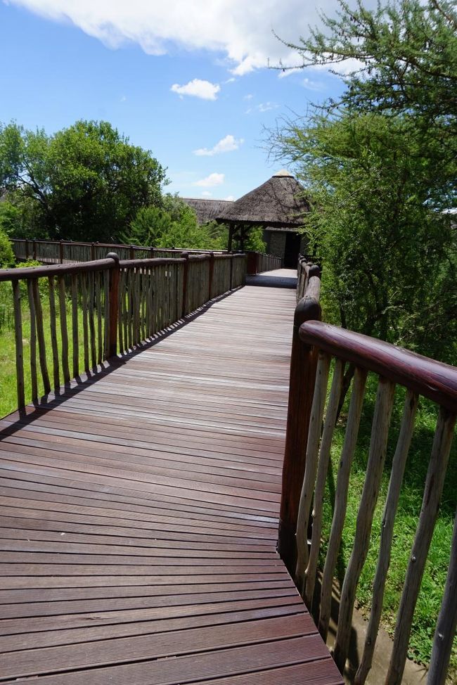 レストランなどがある中心棟から、私たちの部屋へのアプローチ。木々の葉っぱが止めどなく落ちてくるのですが、ホテルスタッフがこまめに掃除をしてくれています。