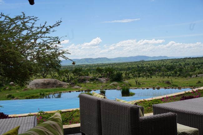 こんな景色を見ながら食後のコーヒーを。あぁぁ。幸せ。<br />ランチタイムは、みなさんゲームドライブに出かけているのか、結構人が少ないです。ただ、クリスマスシーズンなので、ファミリーでバカンスに来ている人も多く、このプールでも子どもたちが楽しんでいました。