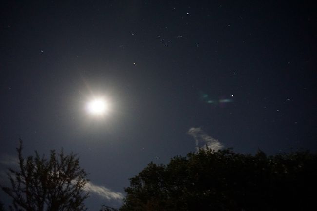 夜空。はっきりとくっきりと星がたくさん見られました。