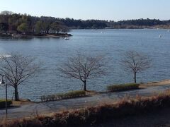 千波湖！
水戸黄門像が対岸にあるとはつゆ知らず、ぬかよろこびしました。
ここから30分歩くなんて。
調査不足。
