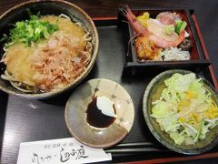 ホテルから加賀温泉駅へ送ってもらい、15分先の芦原温泉駅に向かいます
あわら温泉街に向かうバスまで50分ほどあるので、越前おろしそばを昼食いただきながら待ちます。
大根おろし辛い！こんな辛いのが標準だそうです・・・恐ろしい