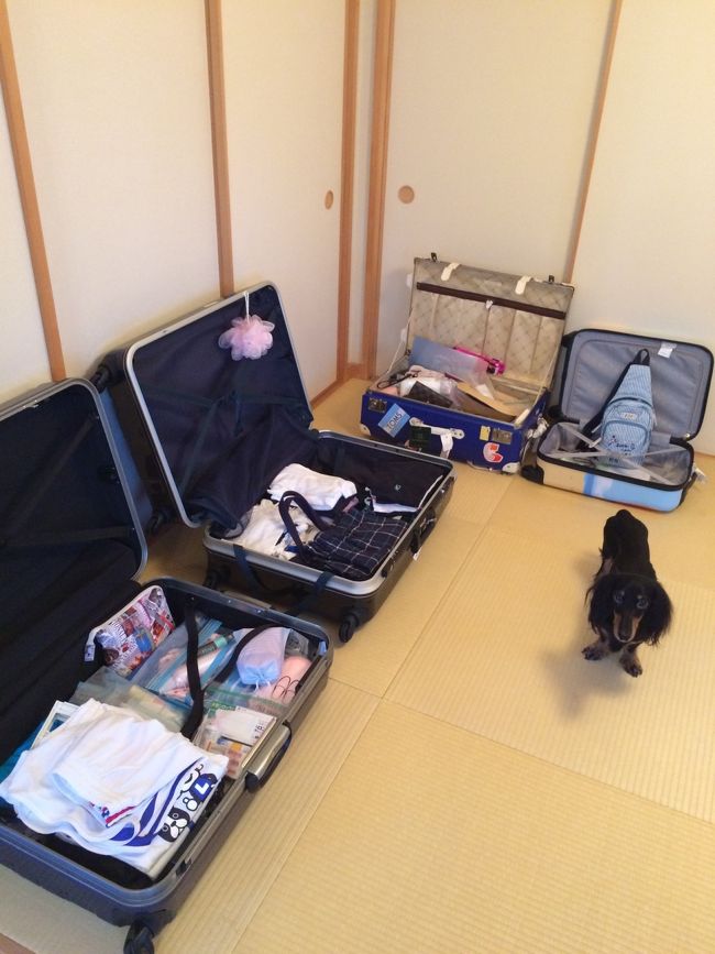 出発前日。無事に荷物も準備完了〜。行きの荷物は出来るだけ少なめに！<br />後は当日元気に出発するのみです。<br />この時期にしか長期休暇が取れないパパ。冬の出発は毎回1週間前あたりから母は体調管理にピリピリ。<br /><br />今回往路はトランク4個。<br />行きは半分以上空っぽの状態です。笑