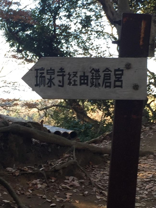 横浜自然の森入り口から約１時間で瑞泉寺にたどり着いた。