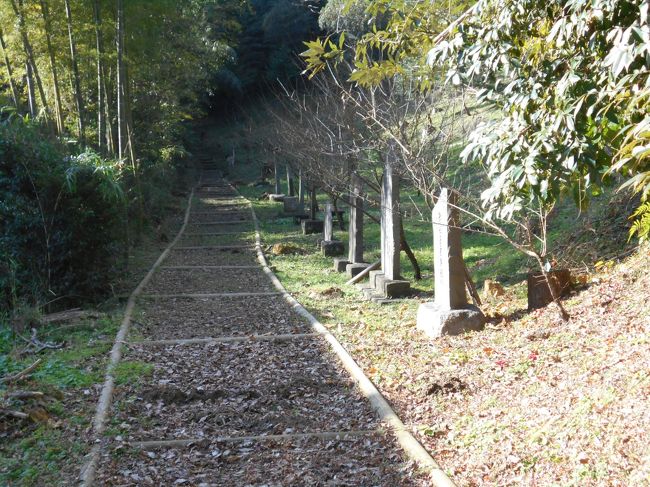 上総東金 江戸初期には家康鷹狩の御殿ともなった戦国時代後期に活躍した上総酒井氏築城の『東金城』訪問