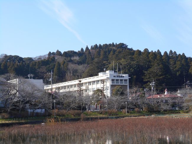 上総東金 江戸初期には家康鷹狩の御殿ともなった戦国時代後期に活躍した上総酒井氏築城の『東金城』訪問