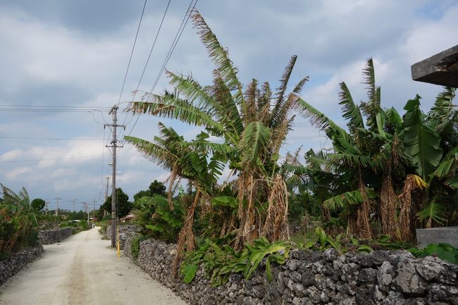 沖縄には数回行ったことがありましたが、この竹富島の雰囲気はまったくの別物。本当に異国にきた気持ちが味わえます。