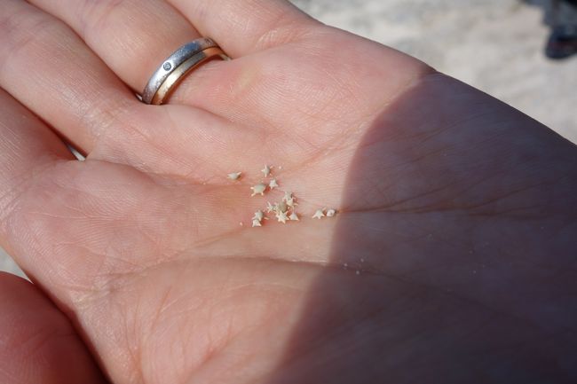 わりと簡単に見つけることができました。