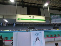 横浜駅から30分ほどで東京駅に着きました。