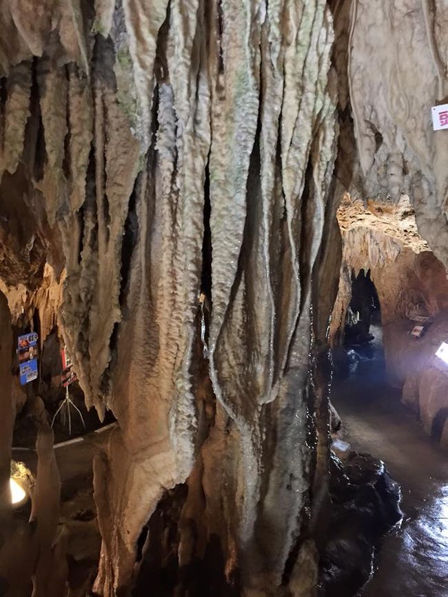 おおー！なんかすごい