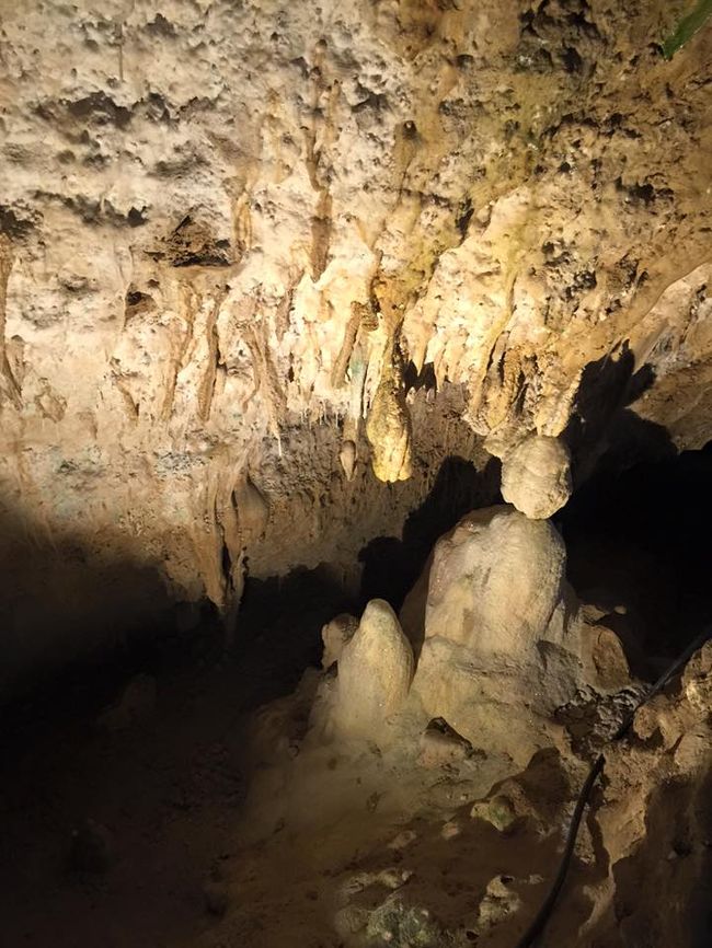 閉館30分前だったのでお客さん私しかいなくて、まじで一人で怖かったｗｗｗ<br /><br />最後の方に何人か人が見えた時はまじで安心したもん(´；ω；｀)<br />