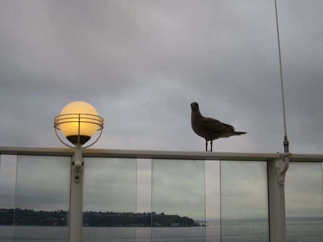 カモメがいました。<br />さようならカモメさん。<br />さようならノルウェージャン。楽しい旅をありがとう。<br /><br />午前７半ごろ下船が始まりました。<br /><br />船を降りるときは非常にあっさりと時間はかからなかったです。<br /><br /><br /><br />