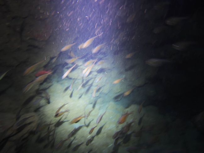 消すと暗くなっちゃう。<br />まだまだわからないことばかりですな。<br />