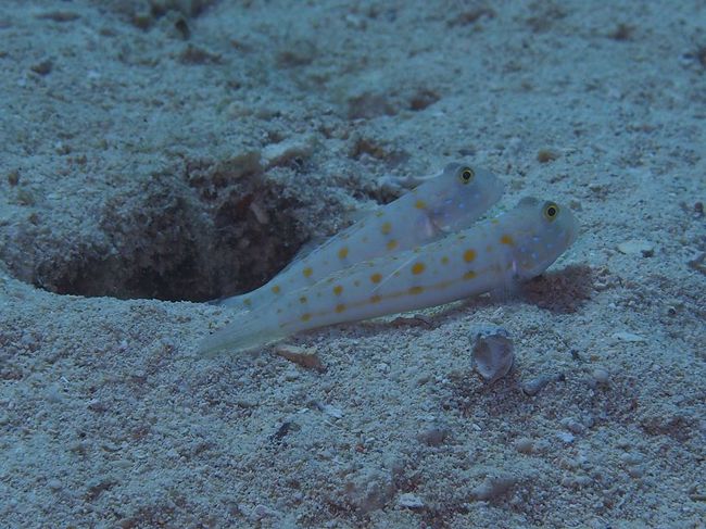 いやんラブラブ^^<br />