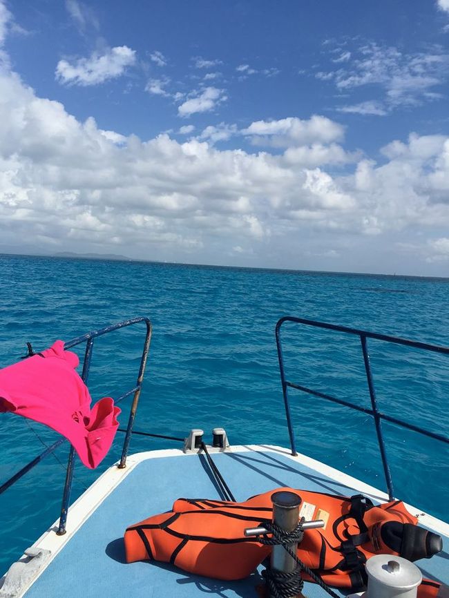 ４日目は洞窟ポイントへ。<br />昨日のV字でいい写真が残せなかったので地形を攻めたいとリクエスとしました。<br />マクロからズームレンズに変えてGOGO!