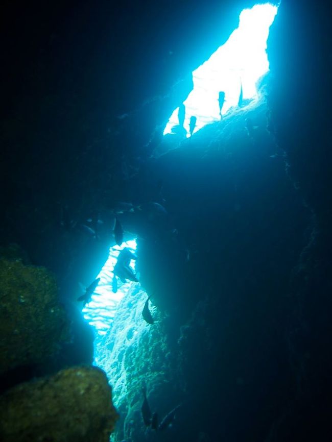 洞窟の中がめっちゃ入り組んでて光が差し込んでめっちゃキレイなの。